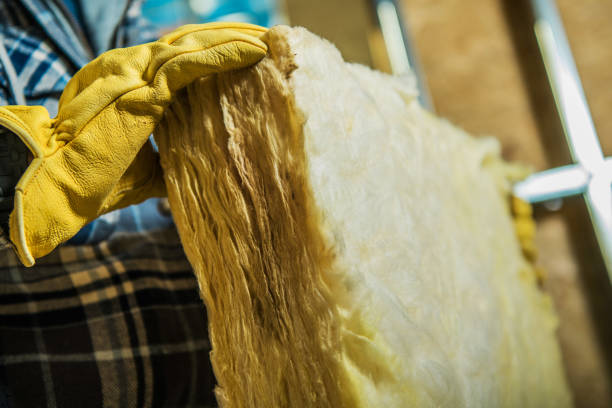 Best DIY Insulation Kits and Guidance in Skyline Acres, OH